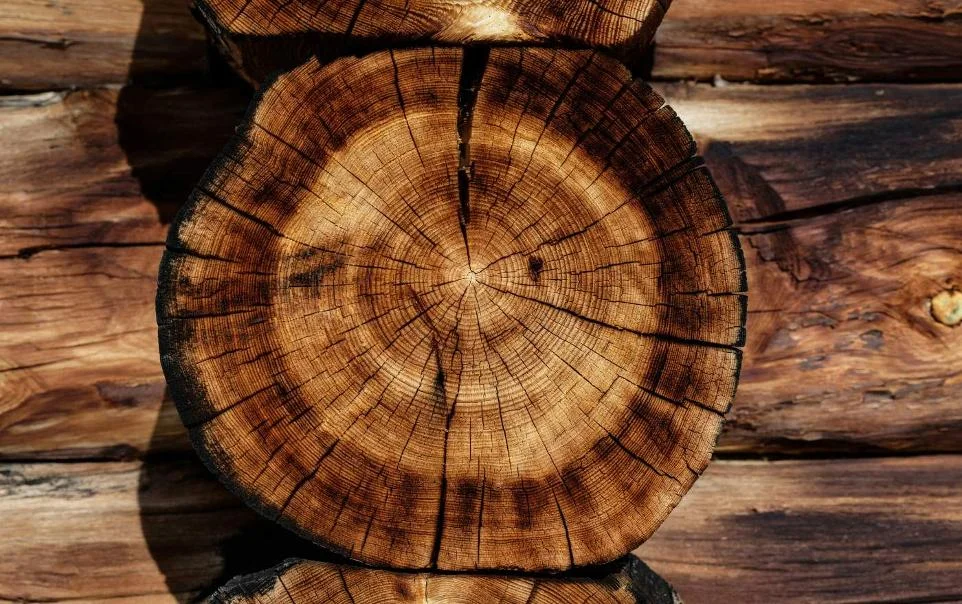 Troncos de madera de teca maciza de origen sostenible controlado