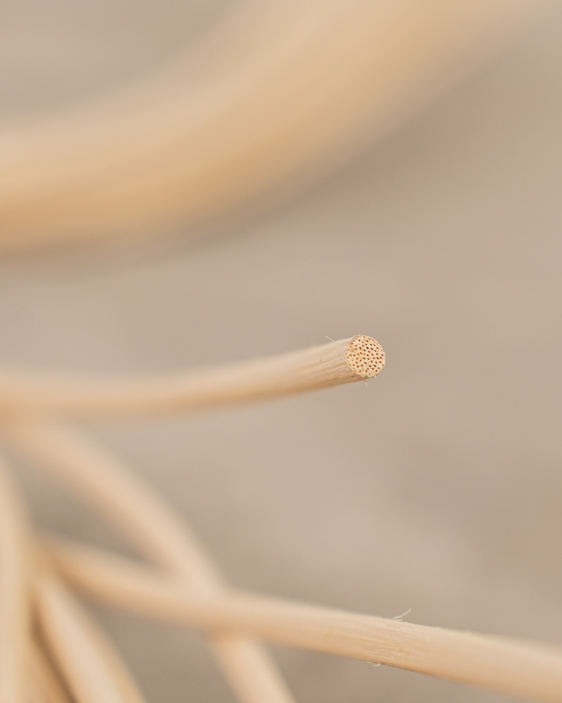 0.5 kg y 1 kg de médula de 3 mm