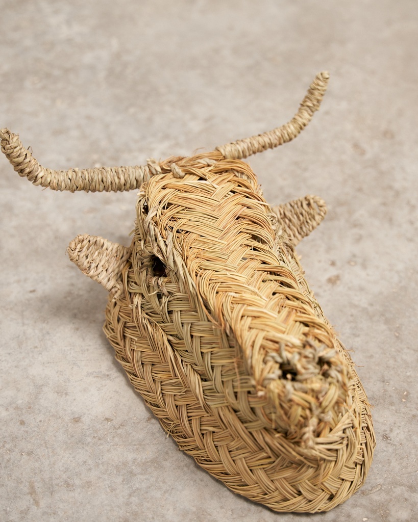 Cabeza de toro de esparto